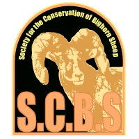 Society for the Conservation of Bighorn Sheep logo